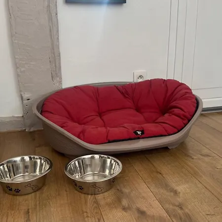 アパート Centre Historique - 3 Etoiles