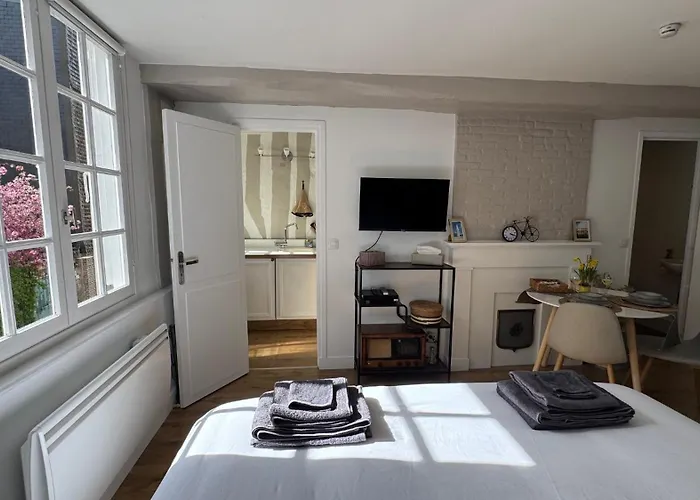 Centre Historique - 3 Etoiles Lägenhet *